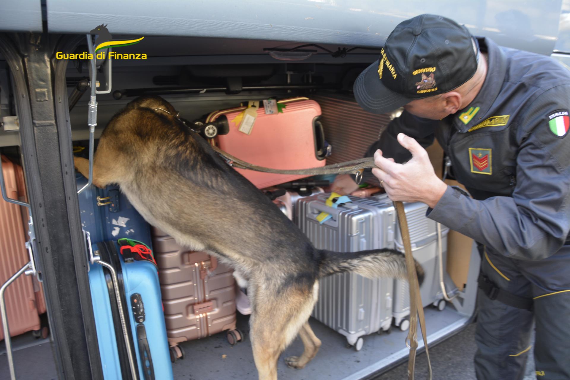 Cash dog e cacciavitisti, in un anno intercettati in dogana 15 milioni di euro non dichiarati