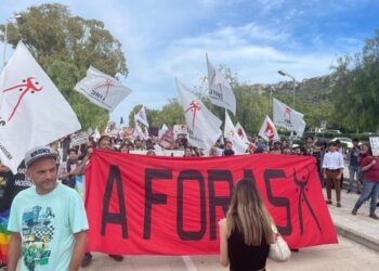 'In piazza per la Palestina