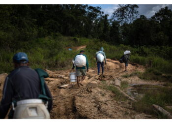 Le loro attività illegali danneggiano l'ambiente e la salute
