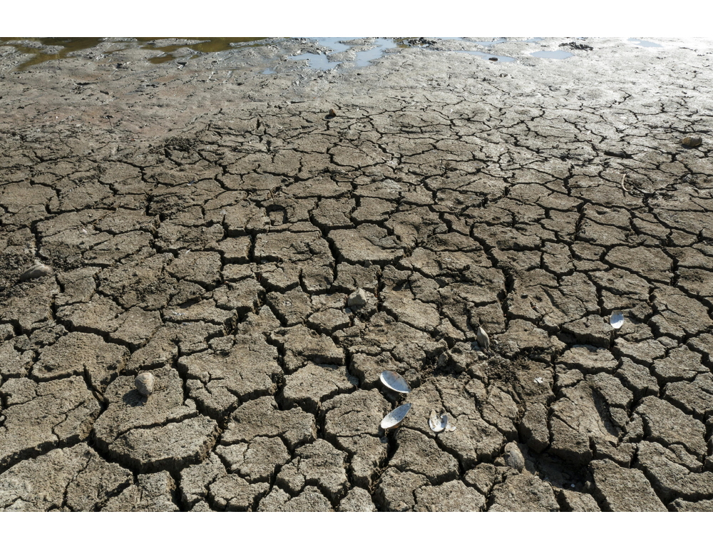 ‘Il 2023 anno in cui l’umanità è entrata in nuova era climatica’