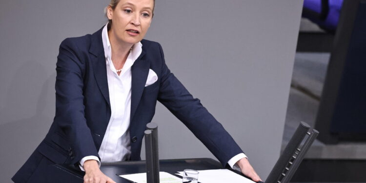 Weidel al Financial Times: 'Se non riusciamo a riformare la Ue'