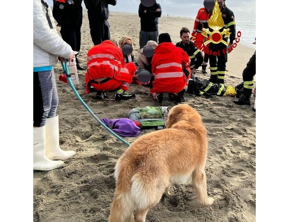 Padrone si tuffa in mare per salvare cane, rischia di annegare