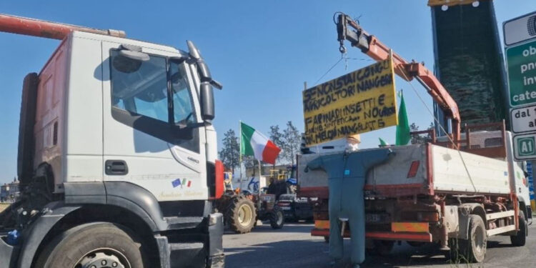 Ripresi regolarmente ingresso e uscita da Autostrada