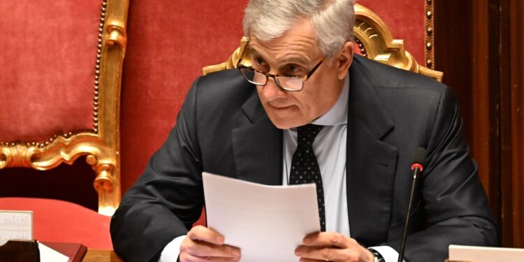'In missione di pace. Ma nessuna richiesta Usa al riguardo'