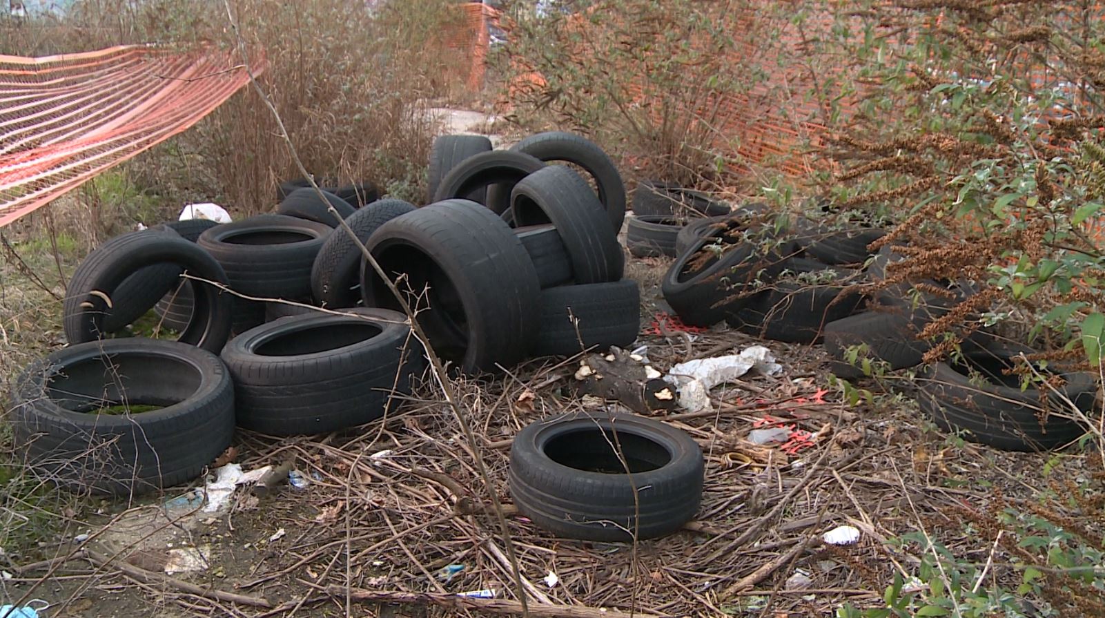 Pneumatici e rifiuti in Ticosa, il sindaco: “Colpa degli incivili, non possiamo blindare l’area”