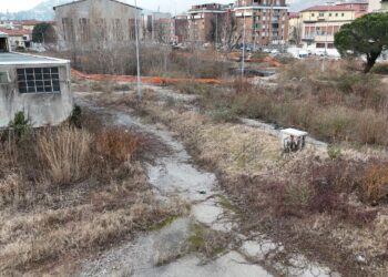 Progetto per l’area Ticosa di Como