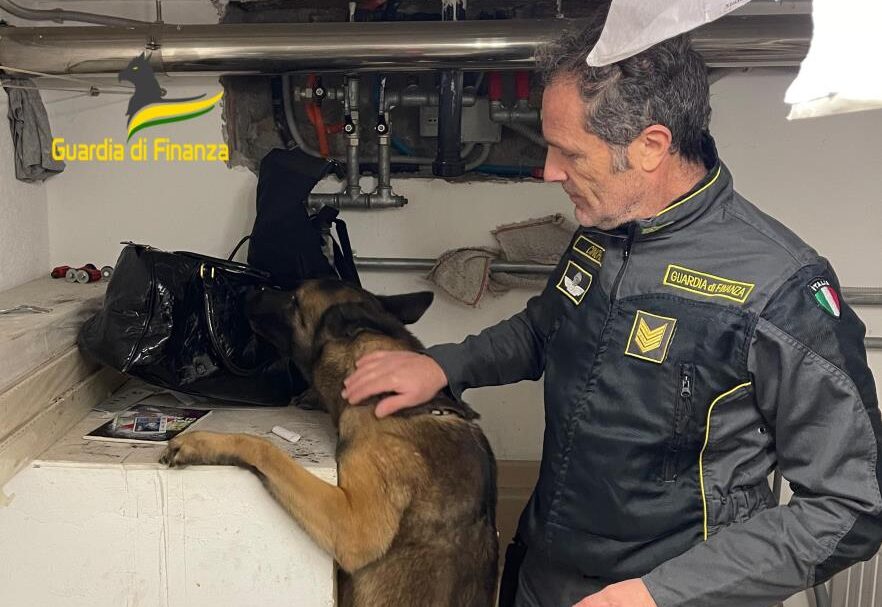 Laboratorio della droga in cantina a Rodero, operazione della guardia di finanza. Un arresto