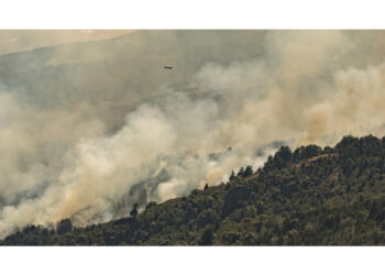 Per un incendio nel Parco nazionale Los Alerces