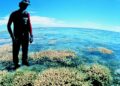 Causato quando l'acqua rimane insolitamente calda per settimane