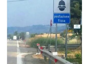 Palmi