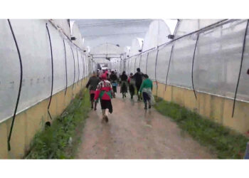 Al lavoro 11 ore al giorno. Divieto di dimora per 4 imprenditori