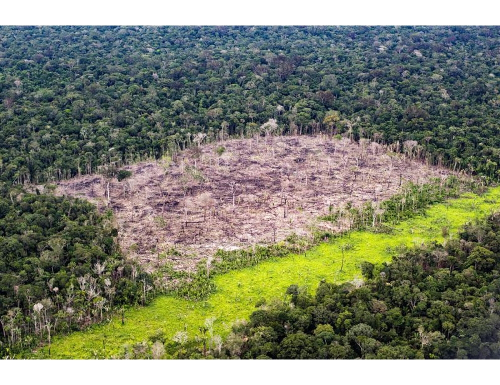 Brasile: Fondo Amazzonia riceve donazioni da 135 milioni di euro