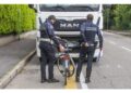 Ribaltata la sentenza del Tar