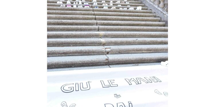 E per altre 47 persone dopo la querela di Carletti
