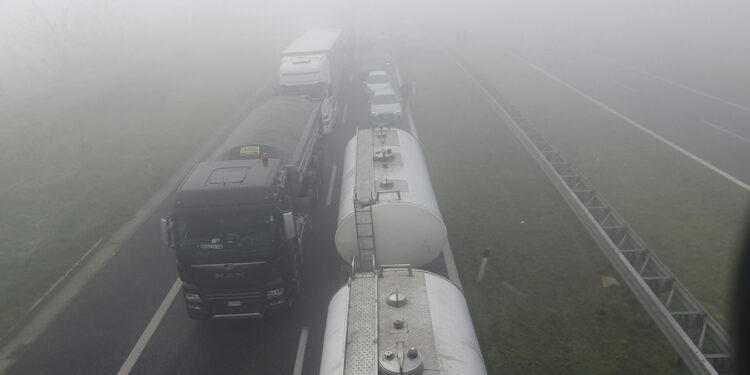 Il limite di velocità indicato è 50 km/h