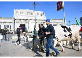 Nel fascicolo segnalati sono di Lega