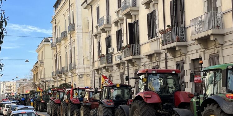 Traffico in tilt e agricoltori danno arance agli automobilisti
