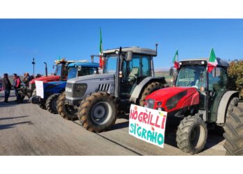 Stamattina all'altezza del bivio Gulfa nei pressi di Sambuca