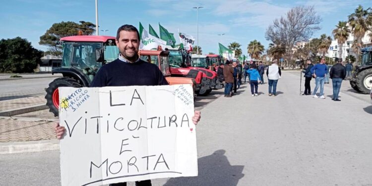 Segretario Confsal incontrerà ministro Lollobrigida a Roma