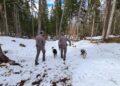 Ordine dei forestali: legalizzare l'uso dello spray