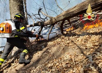 Incendio Faggeto Lario