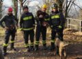 Cani salvati Camnago Volta