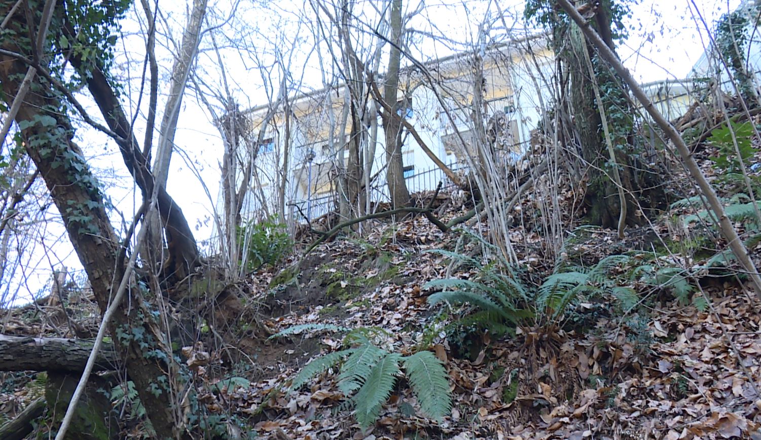 Area verde di via Boccioni a Sagnino, i residenti al Comune: “Scarpata a rischio frana”