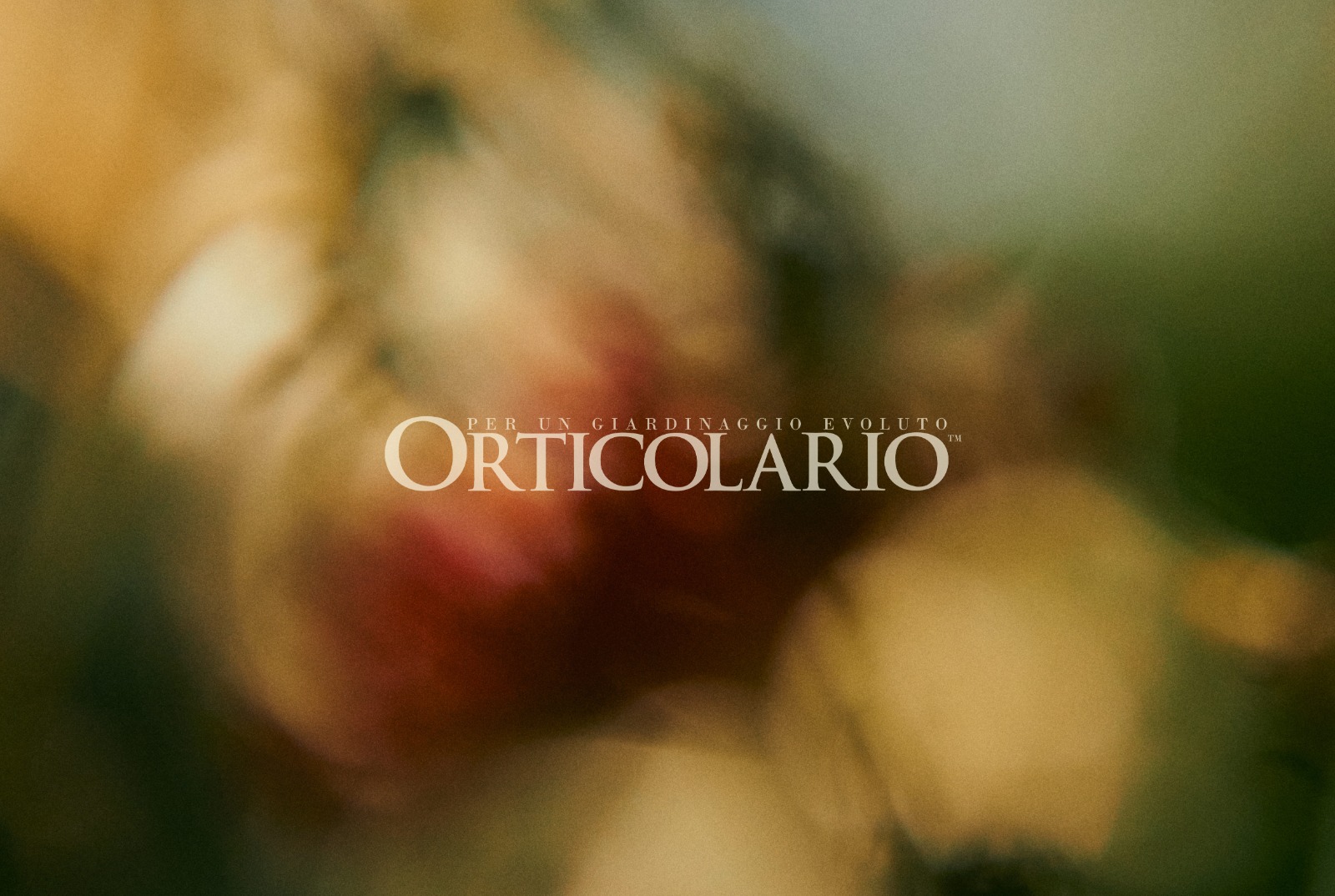 Orticolario 2024, la terra e le piante che combattono l’inquinamento protagoniste della prossima edizione