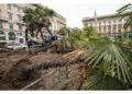 Erano state piantate fra le proteste nel 2017 in piazza Duomo