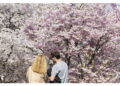 E' primavera con una settimana di anticipo