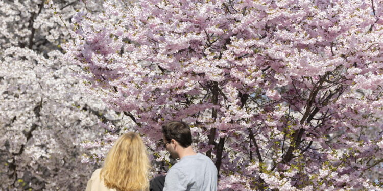 E' primavera con una settimana di anticipo