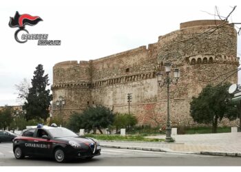 Individuato dai carabinieri di Reggio Calabria dopo 5 mesi