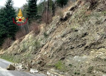 Intervento dei vigili del fuoco su movimento in atto
