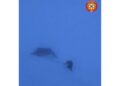 Bloccati dalla neve.In azione Soccorso Alpino e vigili del fuoco