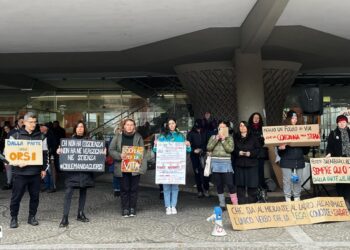 Fuori dal palazzo la manifestazione animalista di Stop Casteller