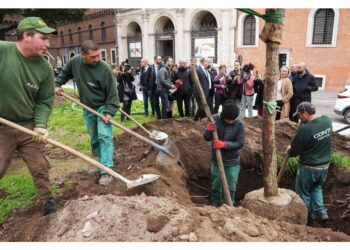 Entro l'anno 10mila nuove messe a dimora in tutta la città