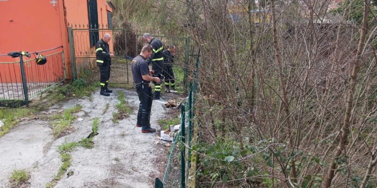 Interrogato l'omicida. Nessuna traccia della pistola del delitto