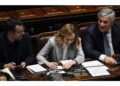 FI occupa lo spazio tra Meloni e Schlein