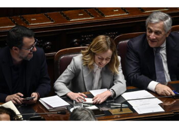 FI occupa lo spazio tra Meloni e Schlein