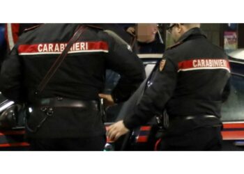 Operazione dei carabinieri. Coinvolti vertici 'ndrine vibonesi