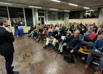 assemblea pubblica