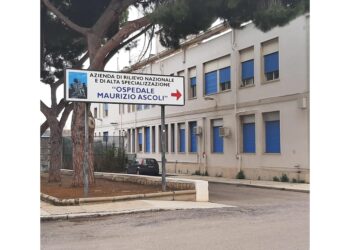 Trasferita in elisoccorso all'ospedale Civico di Palermo.