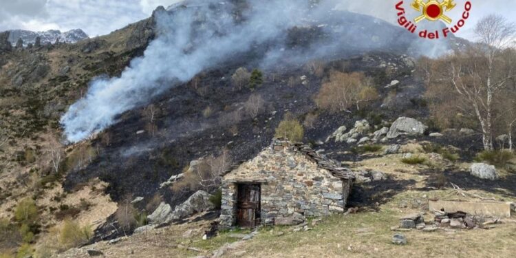 Rogo scoppiato in una faggeta nell'area protetta wilderness