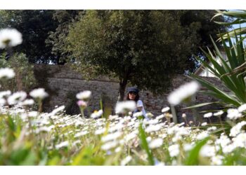 Dal pomeriggio di martedì 30 aprile una nuova perturbazione