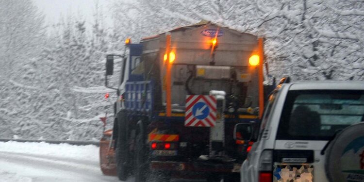 Allarme agricoltura per temperature in picchiata