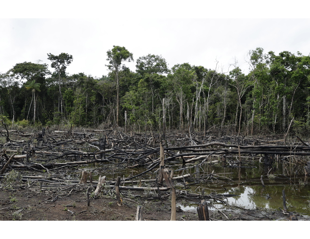 Dati in calo in Brasile e Colombia