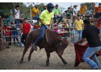 'Evento alla Fiera lede benessere animale'.Oipa-Enpa