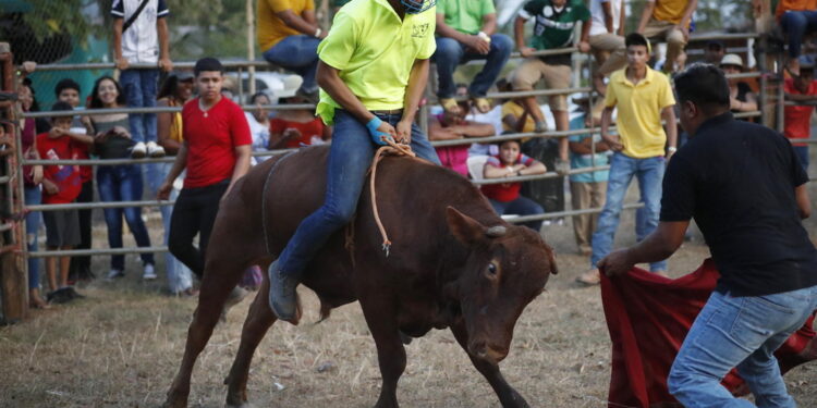 'Evento alla Fiera lede benessere animale'.Oipa-Enpa