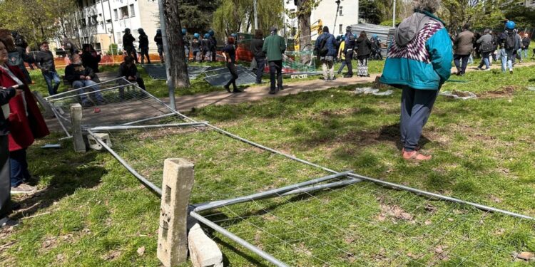 Primi alberi abbattuti nonostante il presidio dei cittadini