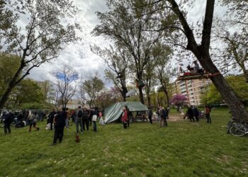 Un uomo di 71 anni ferito a una mano portato in ospedale